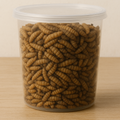 Large Black Soldier Fly Larvae 3/4 inch