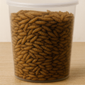 Medium Black Soldier Fly larvae 1/2 inch